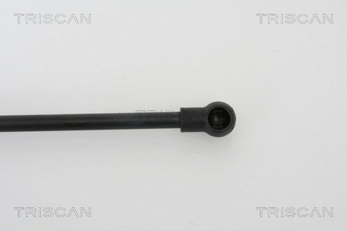 Gas Spring, boot/cargo area
