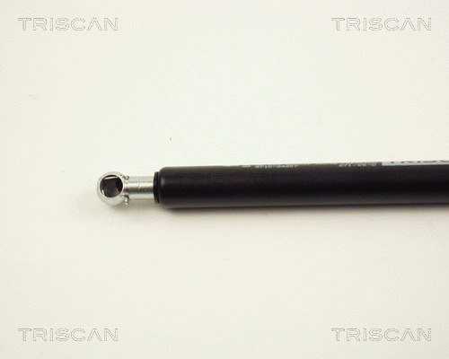 Gas Spring, boot/cargo area