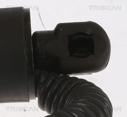 Gas Spring, boot/cargo area