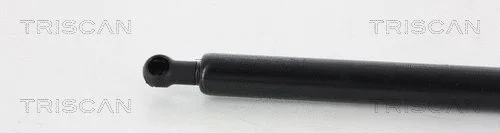 Gas Spring, boot/cargo area