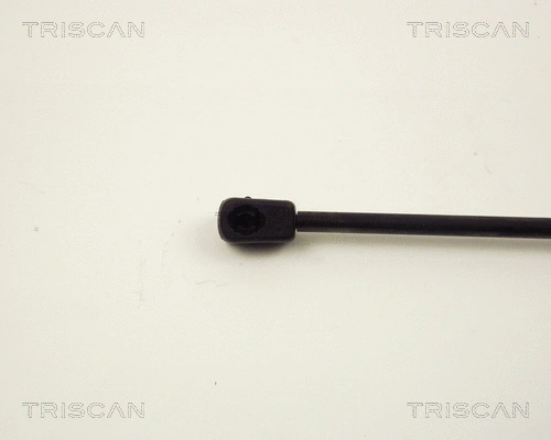 Gas Spring, boot/cargo area