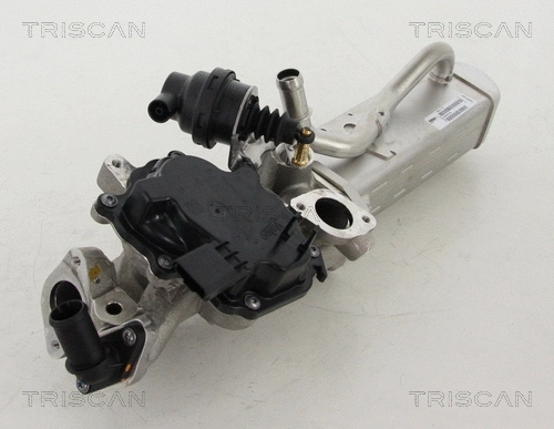 EGR Valve (8813 10203)