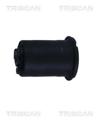 Bushing, axle beam (8500 29844)