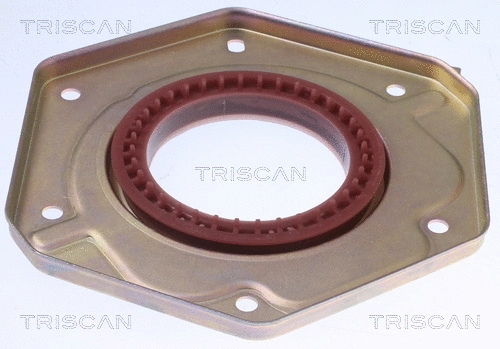Shaft Seal, crankshaft (8550 10096)