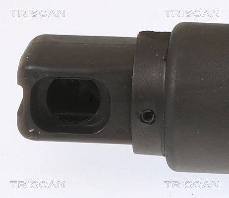 Gas Spring, boot/cargo area