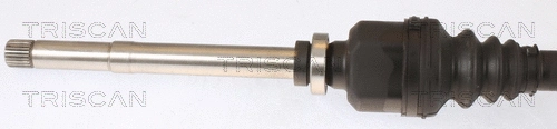 Drive Shaft