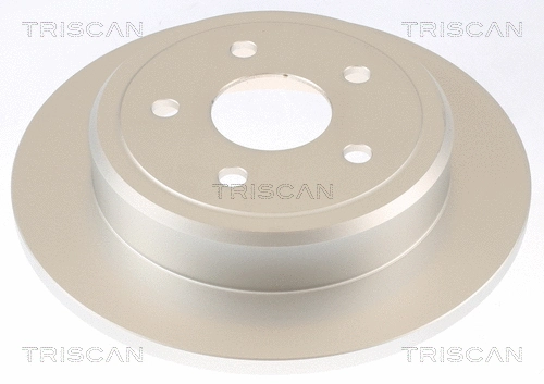Brake Disc (8120 101069C)