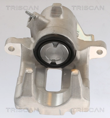 Brake Caliper (8175 29226)