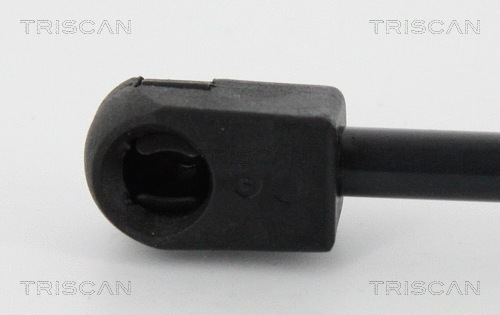 Gas Spring, boot/cargo area