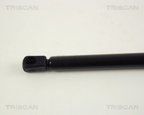 Gas Spring, boot/cargo area