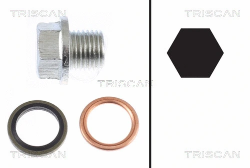 Screw Plug, oil sump (9500 1001)