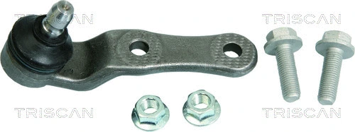 Ball Joint (8500 24521)