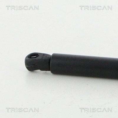 Gas Spring, boot/cargo area