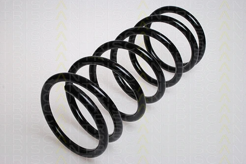 Suspension Spring (8750 2856)
