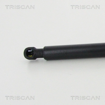 Gas Spring, boot/cargo area