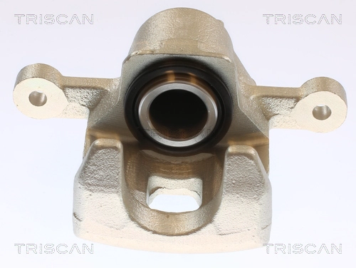 Brake Caliper (8175 43241)