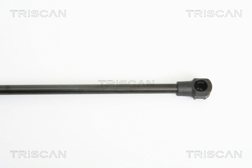 Gas Spring, boot/cargo area