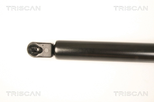 Gas Spring, boot/cargo area
