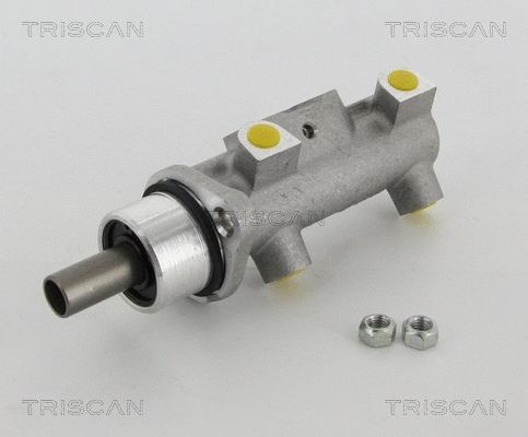 Brake Master Cylinder (8130 16165)