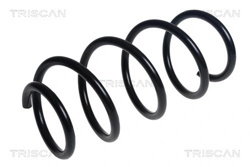 Suspension Spring (8750 29483)