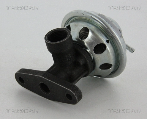 EGR Valve (8813 29050)