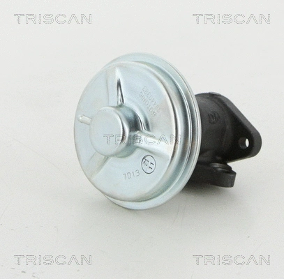 EGR Valve (8813 21002)