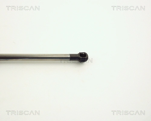 Gas Spring, boot/cargo area