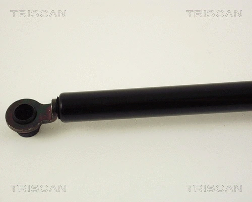 Gas Spring, boot/cargo area
