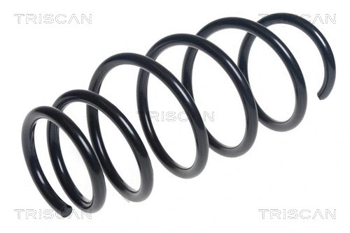 Suspension Spring (8750 13222)