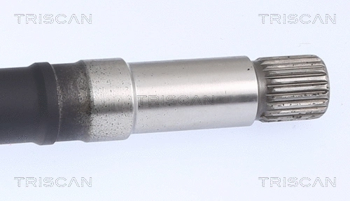 Drive Shaft