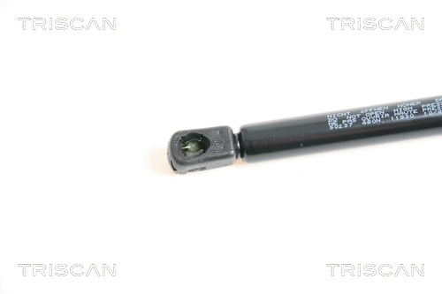 Gas Spring, boot/cargo area