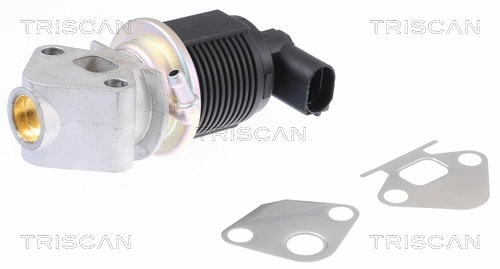 EGR Valve (8813 29009)