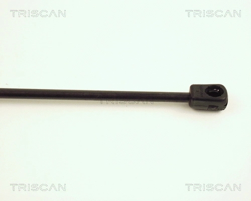 Gas Spring, boot/cargo area