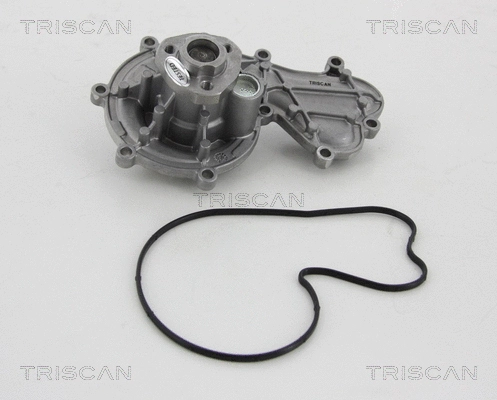 Water Pump, engine cooling (8600 29058)