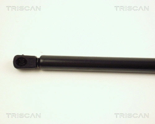 Gas Spring, boot/cargo area