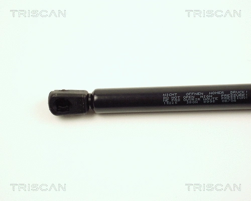 Gas Spring, boot/cargo area