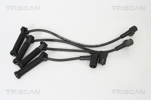 Ignition Cable Kit (8860 7419)
