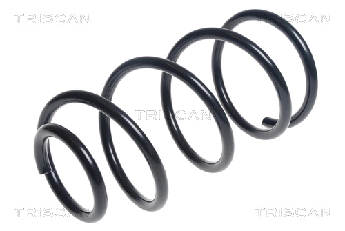 Suspension Spring (8750 27127)