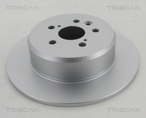 Brake Disc (8120 13159C)