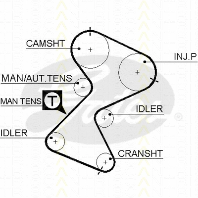 Timing Belt Kit