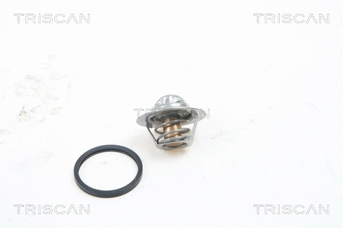 Thermostat, coolant (8620 7691)