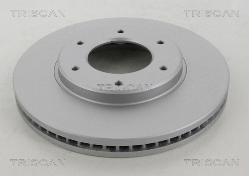 Brake Disc (8120 13157C)