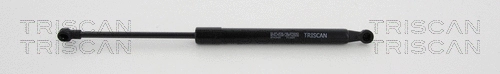 Gas Spring, boot/cargo area