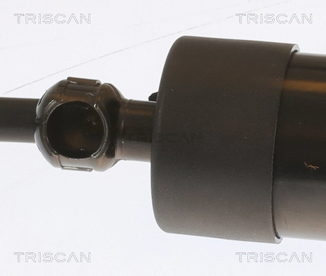 Gas Spring, boot/cargo area