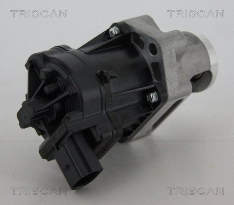 EGR Valve (8813 10006)