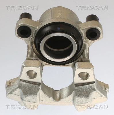 Brake Caliper (8175 11110)