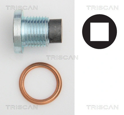 Screw Plug, oil sump (9500 2801)
