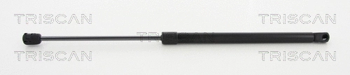 Gas Spring, boot/cargo area