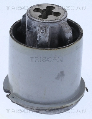 Bushing, axle beam (8500 25876)