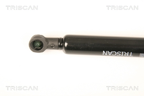 Gas Spring, rear window